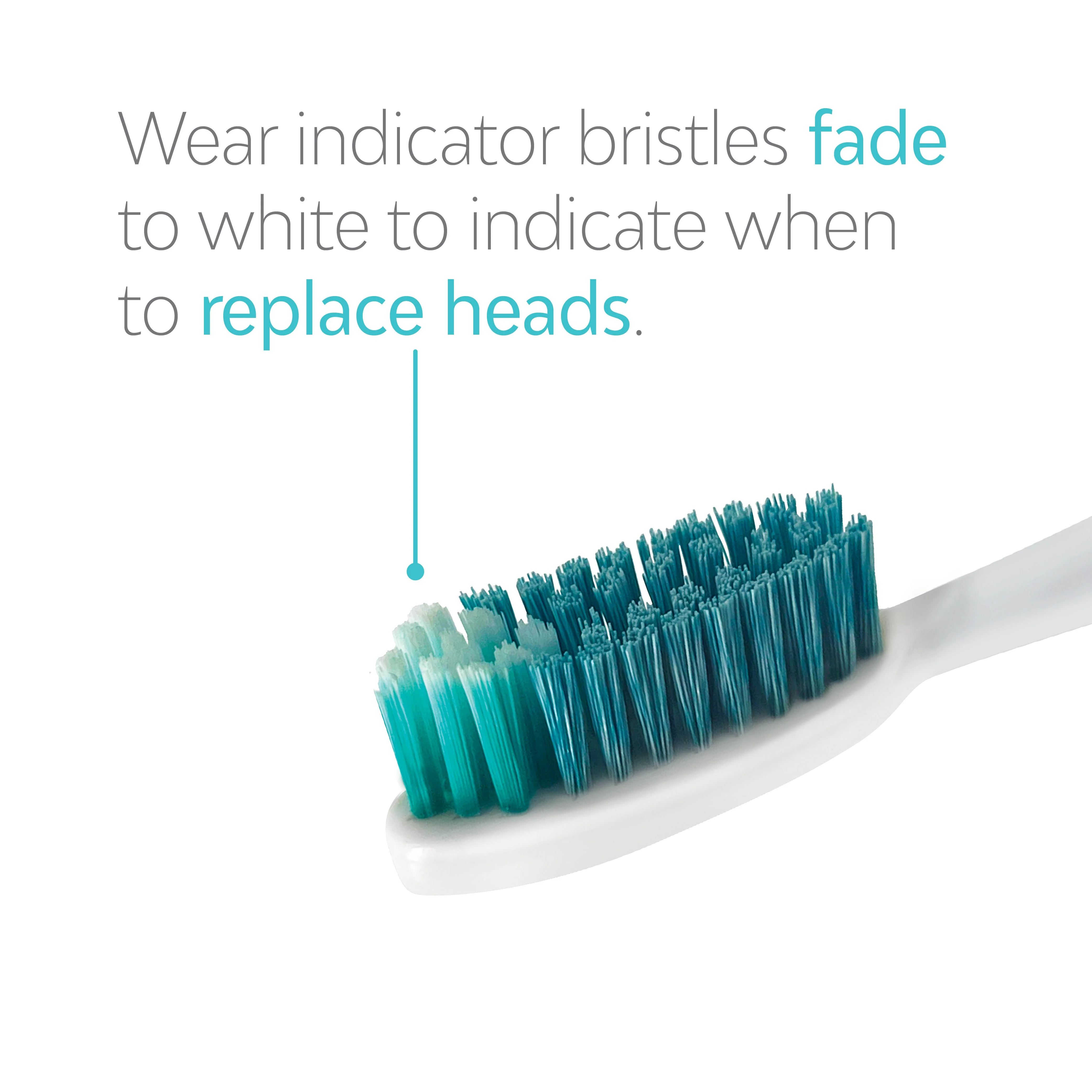 Whitening Toothbrush Heads (8 Pack) - Image 3